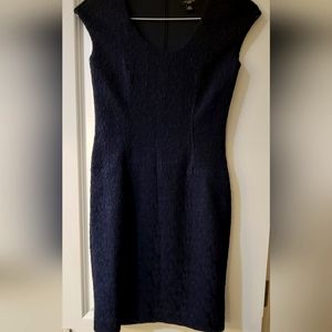 Ann Taylor Navy Lace Sheath Dress